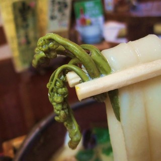 ほうとう 佐五兵衛_1