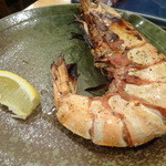 Robatayaki Isogai - 大海老塩焼き