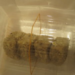 さ行 - 鮎の炊き込みお握り