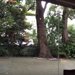 マノワール・ディノ - 庭