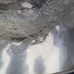 ドライブイン刈谷田 - ２０１５　そうめん