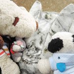 かえるcafe - うりゃ～！！！
      さっそくうさぎさんを撫でまわすボキら。
      これでみんなにご利益があるね。
      