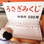 かえるcafe - うさぎみくじって言うのもあるよ。
      