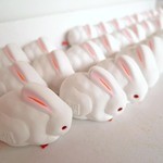 かえるcafe - たくさん並んでるとかわいいね～
      中におみくじが入ってるんだって。
      