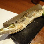 旬鮮炭火焼 獺祭 - 大磯産かますの塩焼き