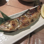 魚真 - いわし一本干し