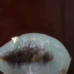 鶴屋吉信 - 星願い