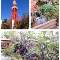 東京 芝 とうふ屋うかい - 東京タワーのふもと、素敵な庭園♬