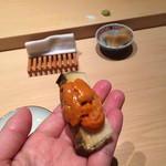 鮨 一幸 - 蒸鮑on雲丹