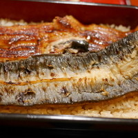 うなぎ割烹 大江戸 - 「うな重  二本いかだ」　2015年6月