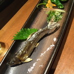 鯛めし槇 - 【天然鮎】