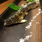 鯛めし槇 - まるで生きて泳いでいるようです