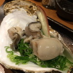 鯛めし槇 - この時期だからこそ味わえる北海道の真牡蠣
