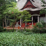 Houdashi Shokudou - 出羽三山神社