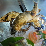 しのはら - 仁淀川産天然鮎・イカのすり身天・白バイガイ・サツマイモ甘露煮・蒸し玉子・タコ柔らか煮・カマス寿司・フルーツトマトのレモン煮・枝豆