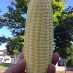 セブンイレブン - 料理写真: