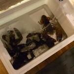 KAKIYA シェル＆シュリンプ - オマール海老￥３８００くらいだったかな？　ゲームに買ったら半額☆♪