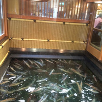 稚加榮 本店 - 