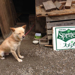 山の民 つづら - ロン！１年ぶり。元気そうだね！