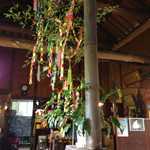 山の民 つづら - 七夕。大きな笹が中央に。お客さん皆で短冊を飾ろう！