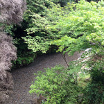 山の民 つづら - 窓からの星野川。