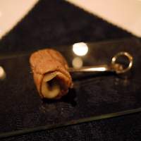 SALONE 2007 - 
