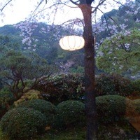 京都 吉兆 嵐山本店 - お庭