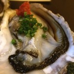 七伍屋 - 今日のびらびら©風太くん