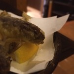 七伍屋 - がおー！©風太くん