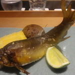 日本料理 晴山 - 岐阜産鮎塩焼　牛蒡餅　もろこしかき揚げ