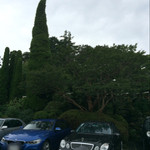 横浜うかい亭 - 森に見えます    奥にお店