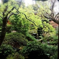 東京 芝 とうふ屋うかい - 部屋から