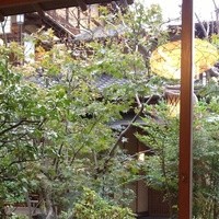 東京 芝 とうふ屋うかい - 部屋から