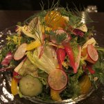 Lib - 彩り野菜のサラダ