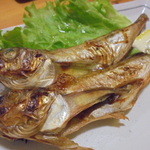 くつろぎ亭ひこべえ  - はたはたのやいたん