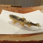 秋田 てんぷら みかわ - 稚鮎