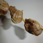 味処樹豊園 - 砂ズリ。新鮮で柔らかく食べやすい、価格は激安。