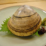 割烹 やました - 能登産鳥貝造り１