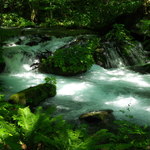 上高地食堂 - 奥入瀬渓流