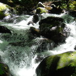 上高地食堂 - 奥入瀬渓流