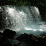 上高地食堂 - 奥入瀬渓流