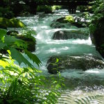 上高地食堂 - 奥入瀬渓流