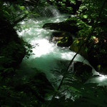 上高地食堂 - 奥入瀬渓流