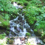 上高地食堂 - 奥入瀬渓流