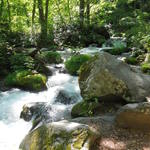 上高地食堂 - 奥入瀬渓流