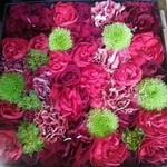 Nicolai Bergmann NOMU - 