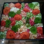 Nicolai Bergmann NOMU - 