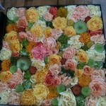 Nicolai Bergmann NOMU - 