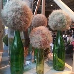 Nicolai Bergmann NOMU - 