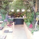 Nicolai Bergmann NOMU - 